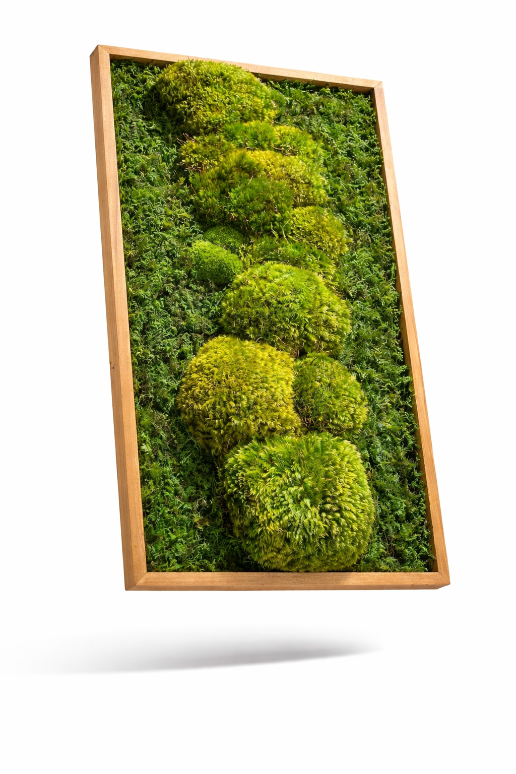 Mountain Moss Wall Art