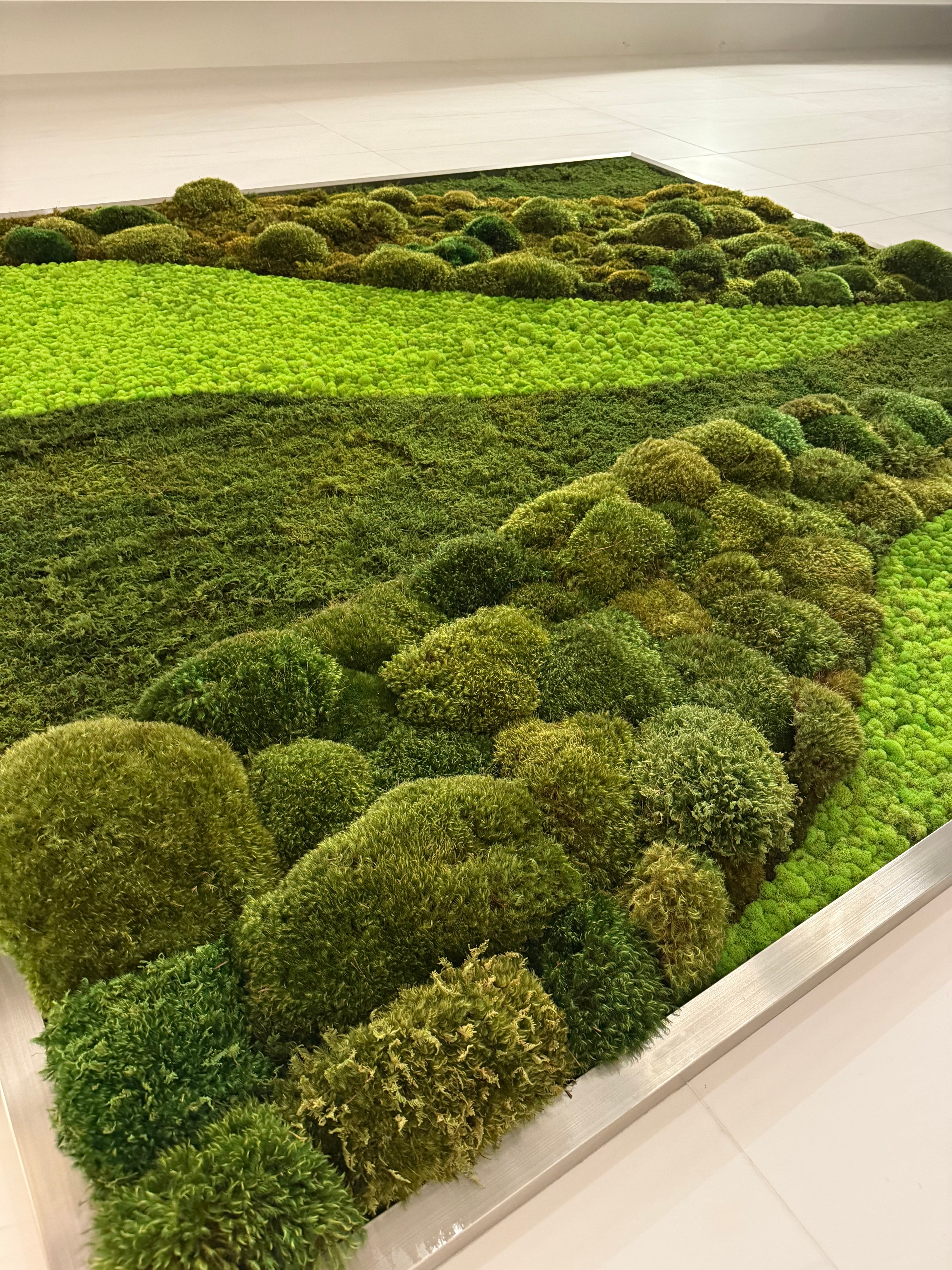 Green Lines Moss Wall Art