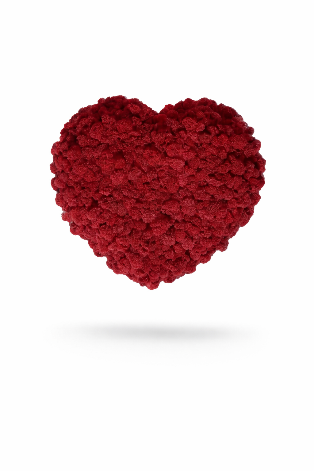 Heart Moss Wall Art