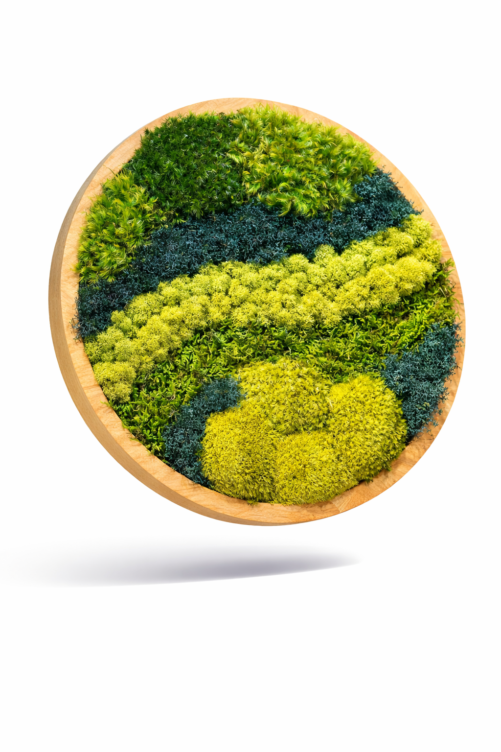 Green Mountain Circle Moss Art