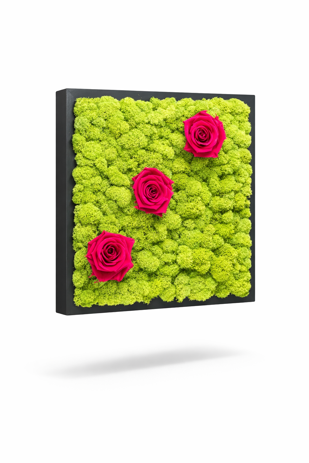 Roses Moss Wall Art