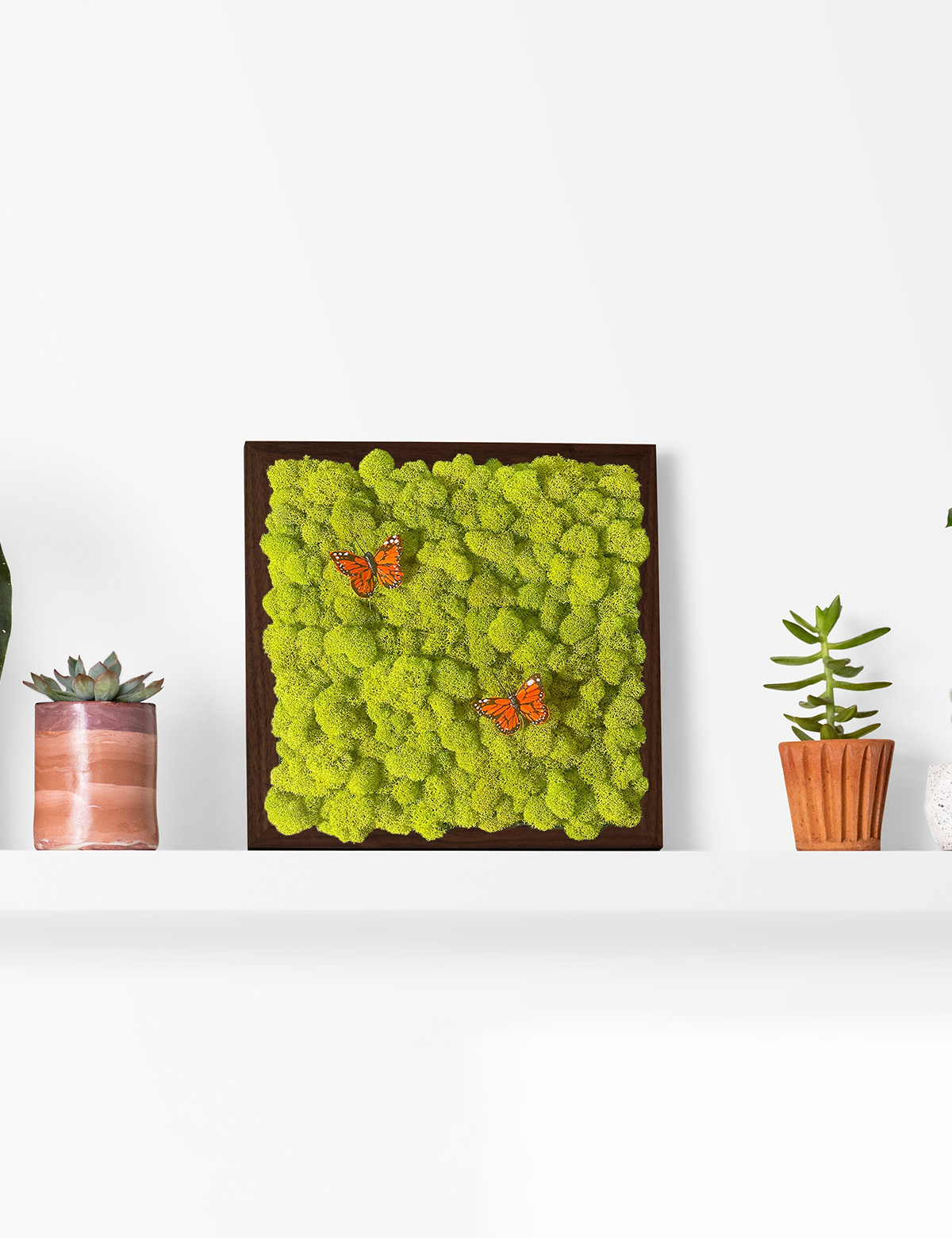 Butterfly Moss Wall Art