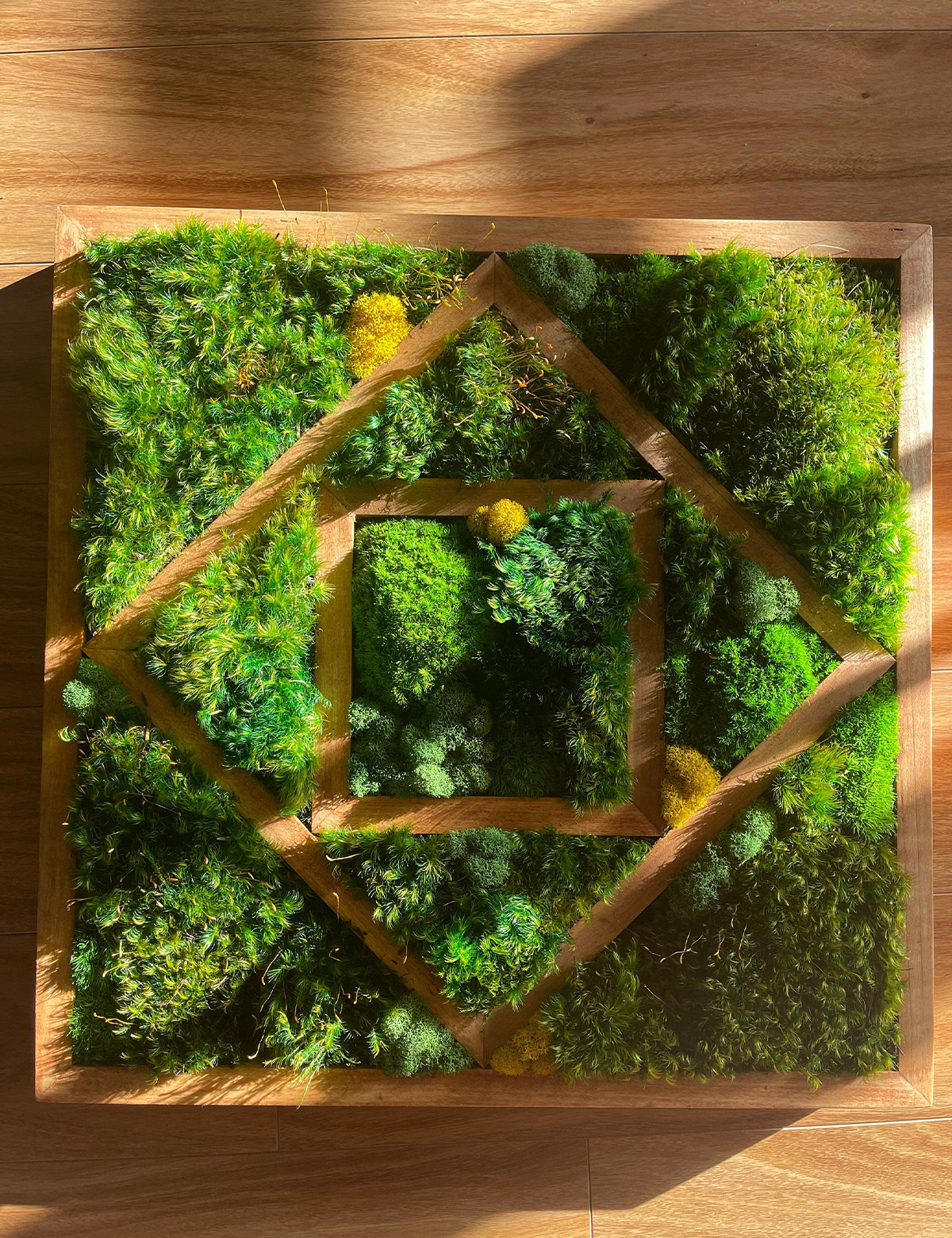 Trio Moss Wall Art