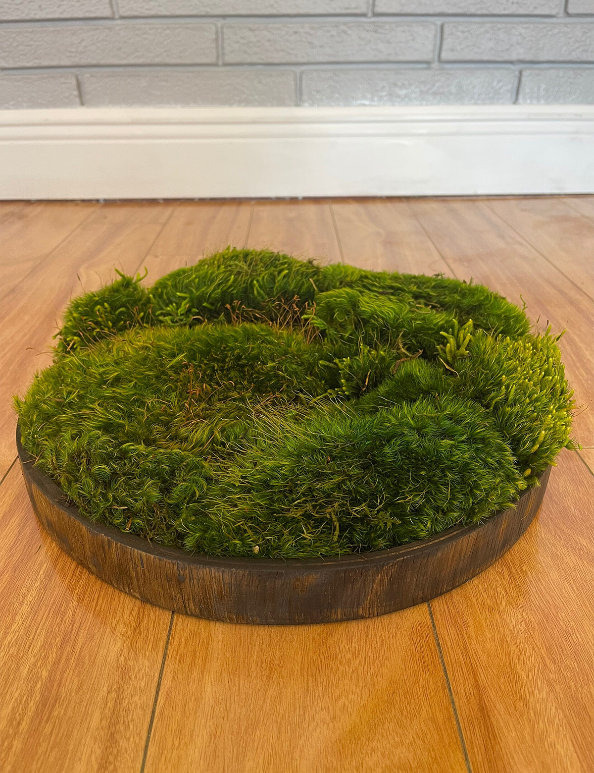 Jungle Moss Centerpiece