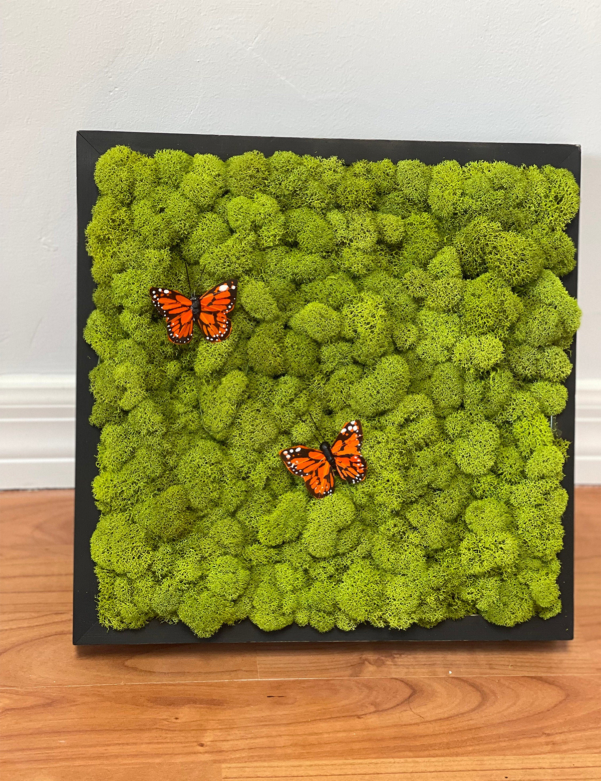 Butterfly Moss Wall Art