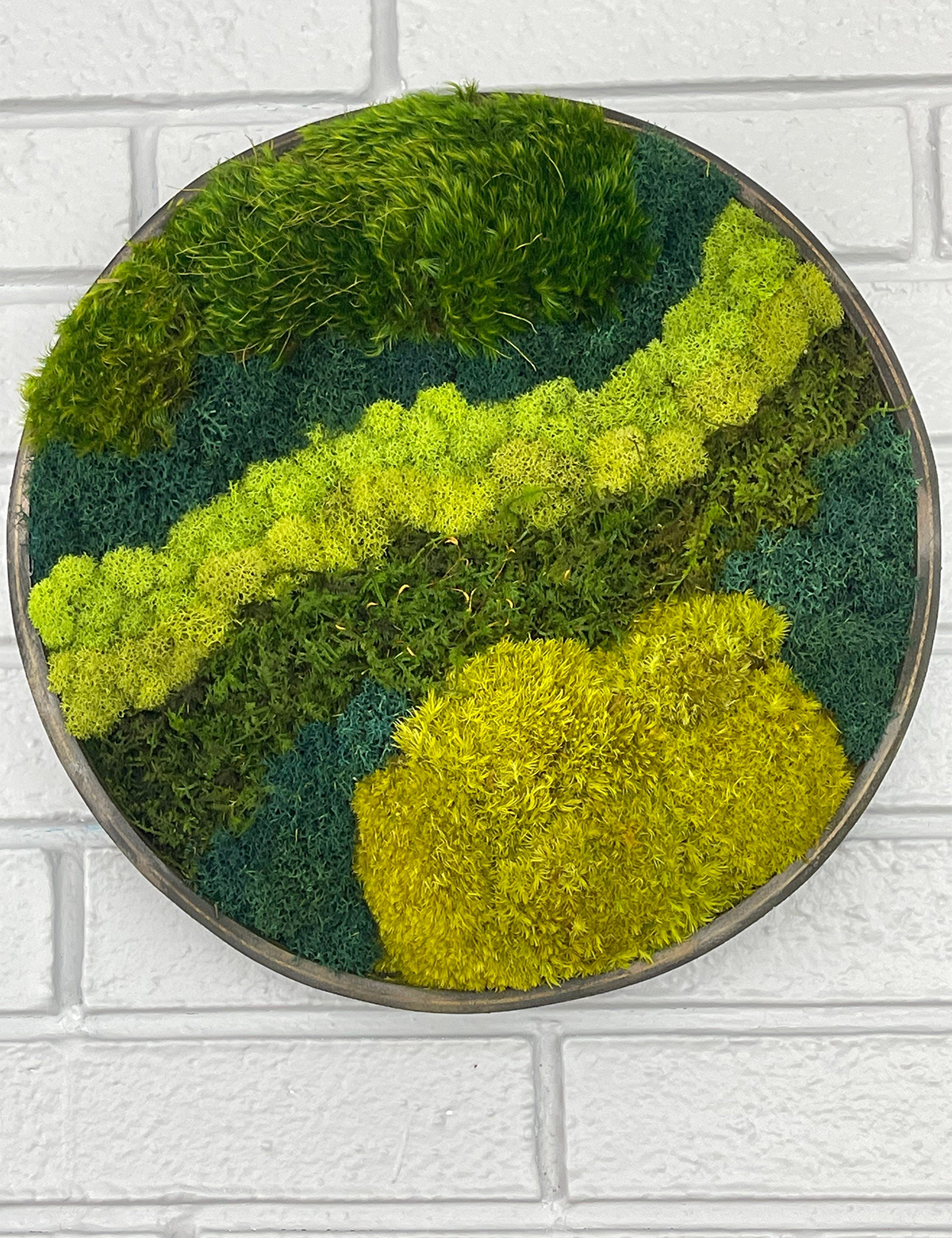 Green Mountain Circle Moss Art