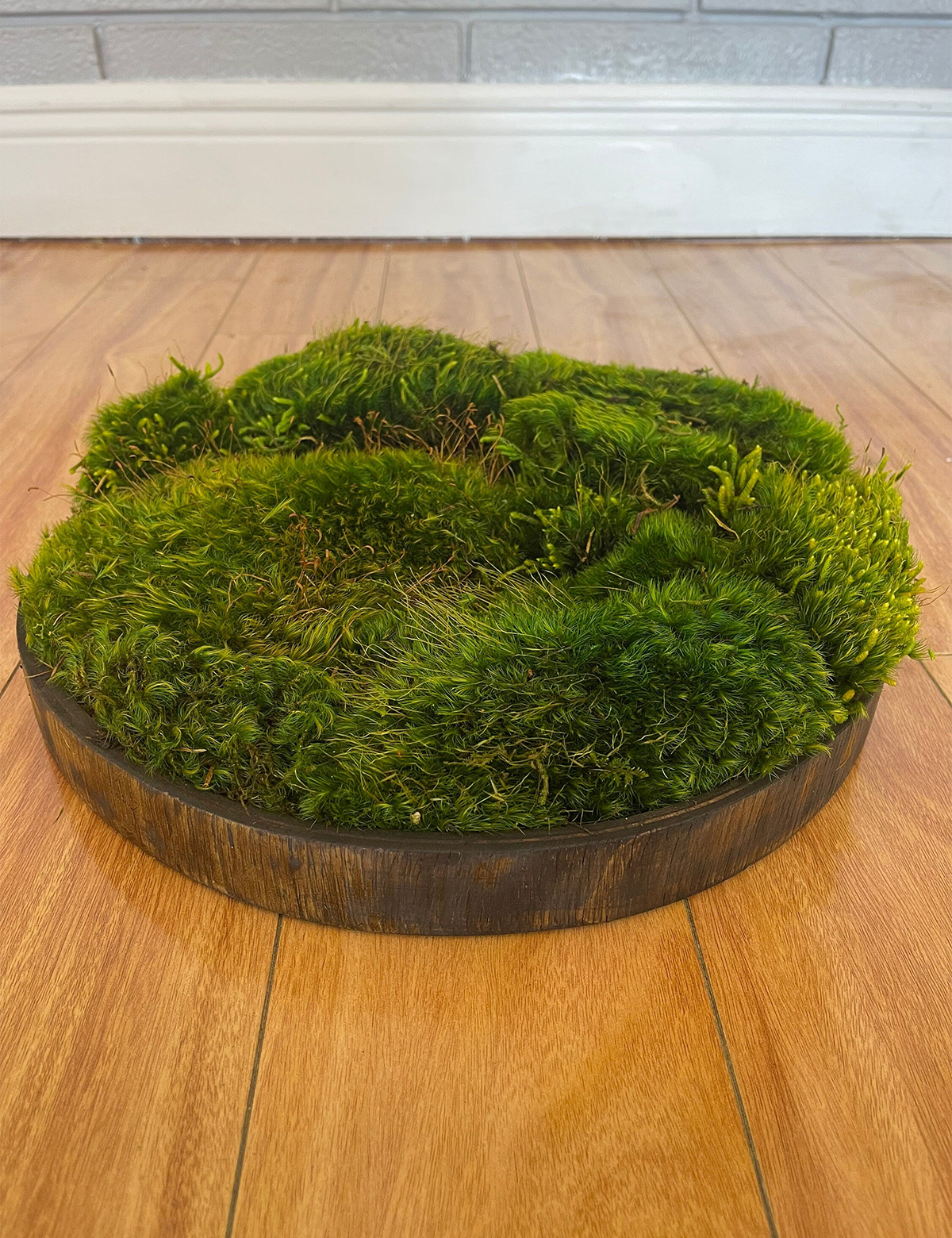 Jungle Moss Centerpiece