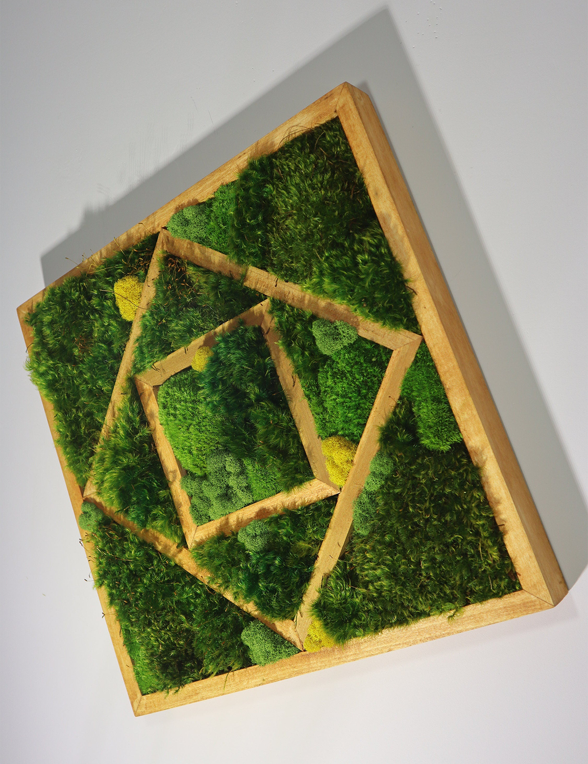 Trio Moss Wall Art