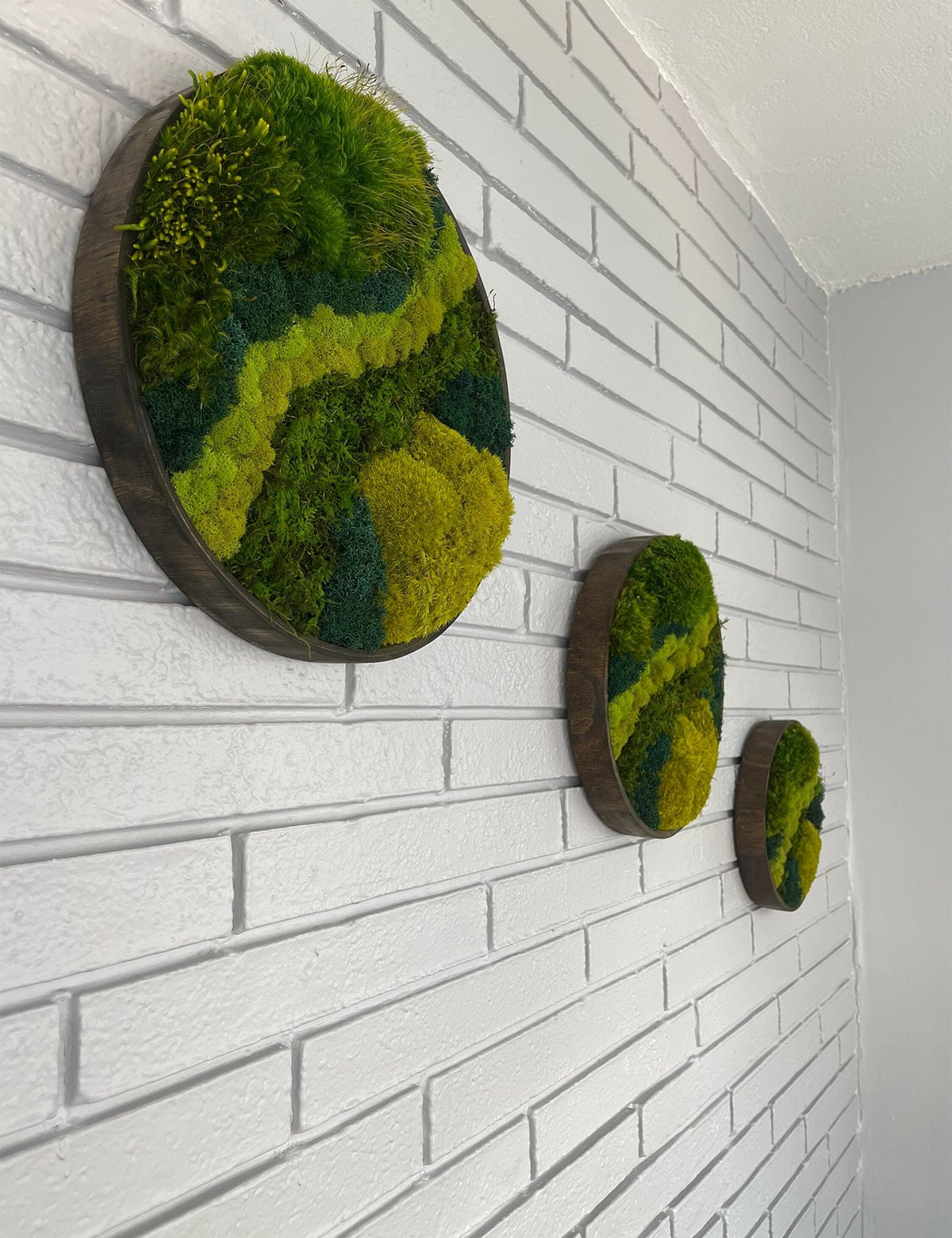 Green Mountain Circle Moss Art
