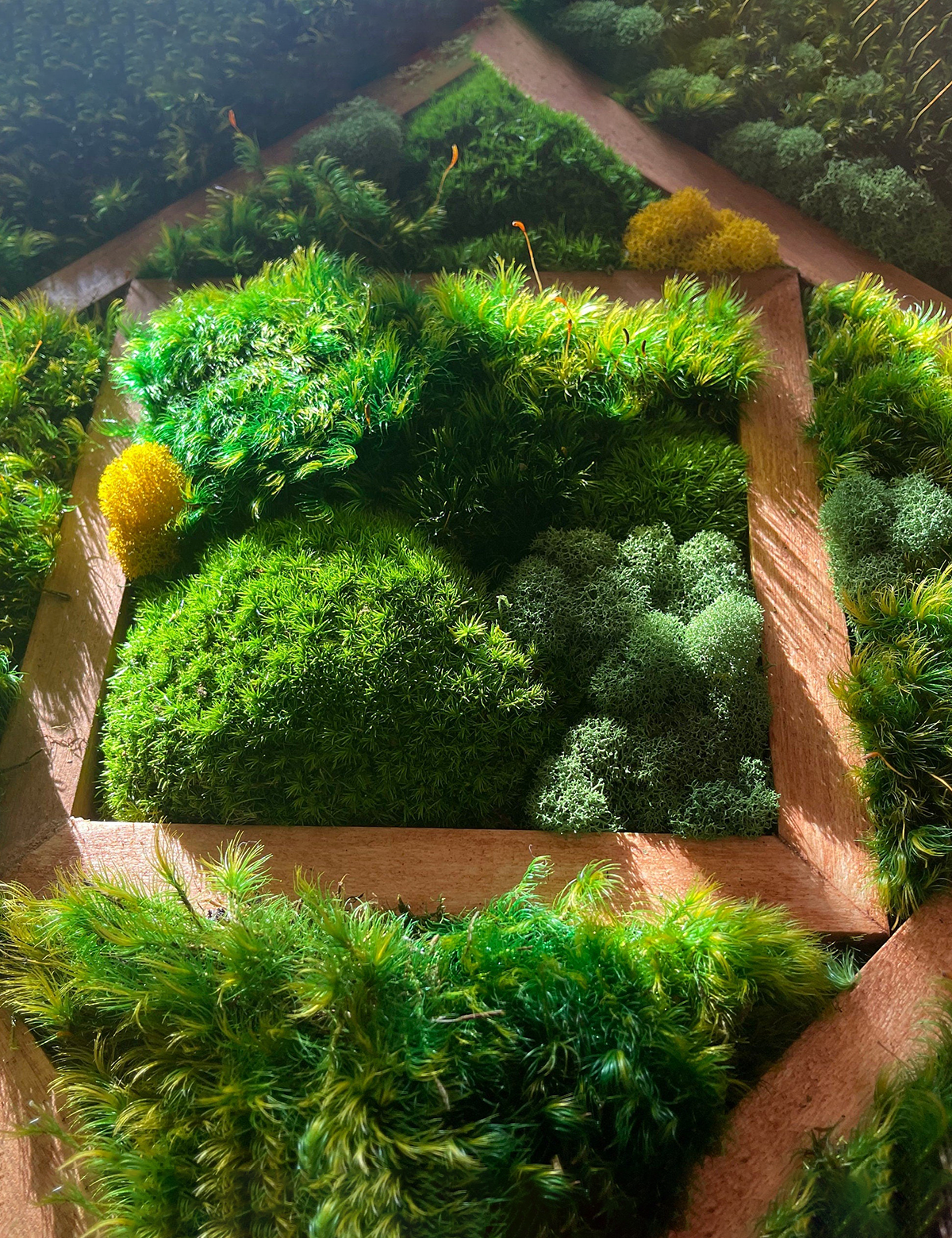Trio Moss Wall Art