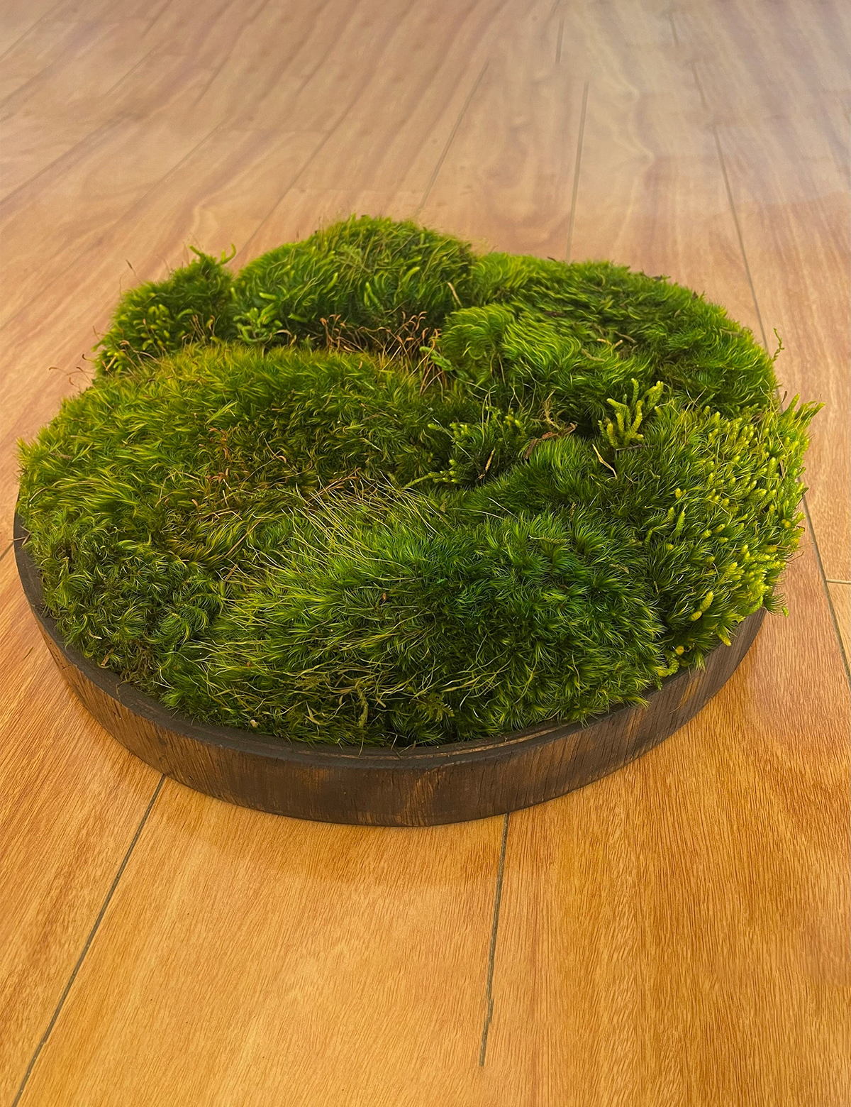 Jungle Moss Centerpiece