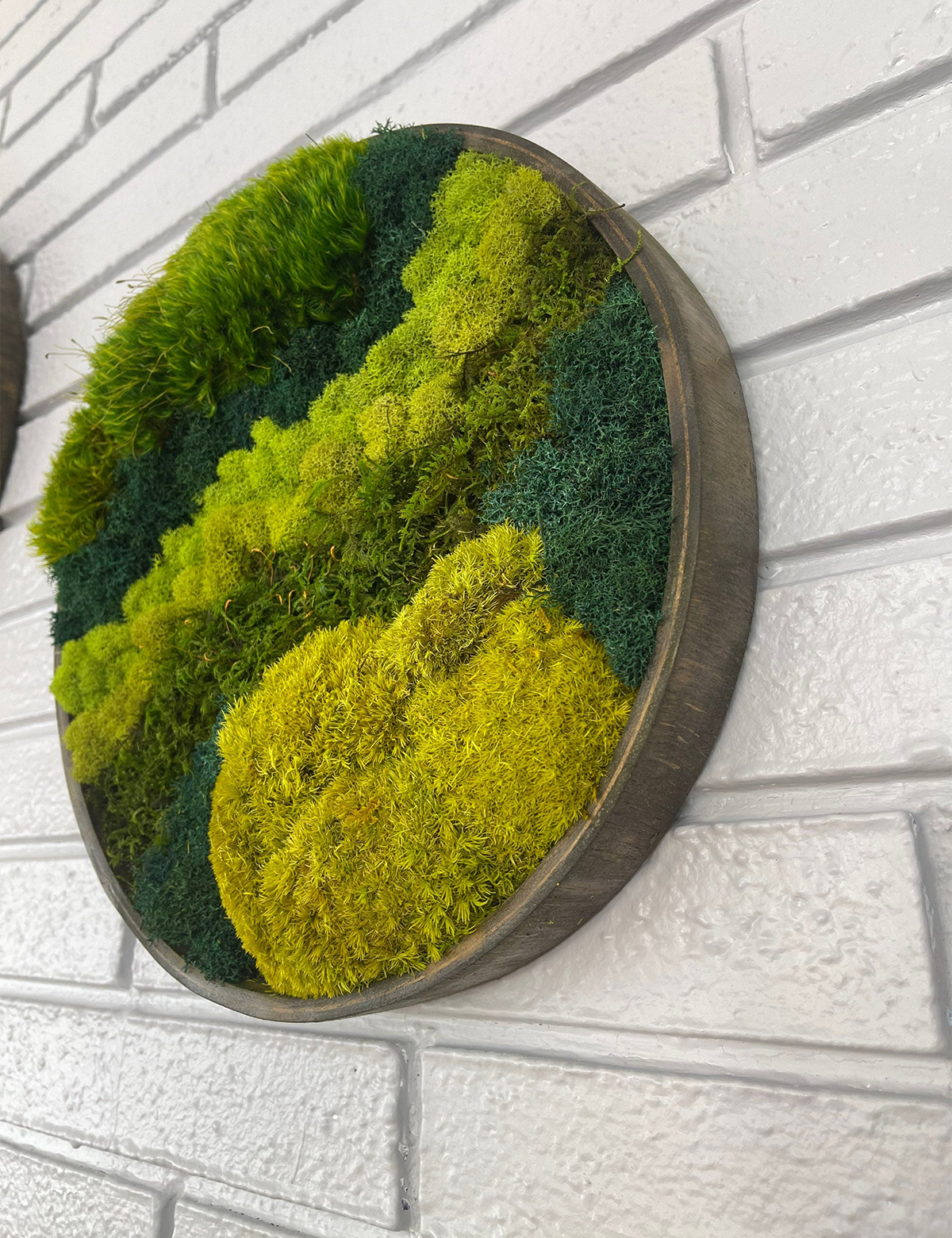 Green Mountain Circle Moss Art