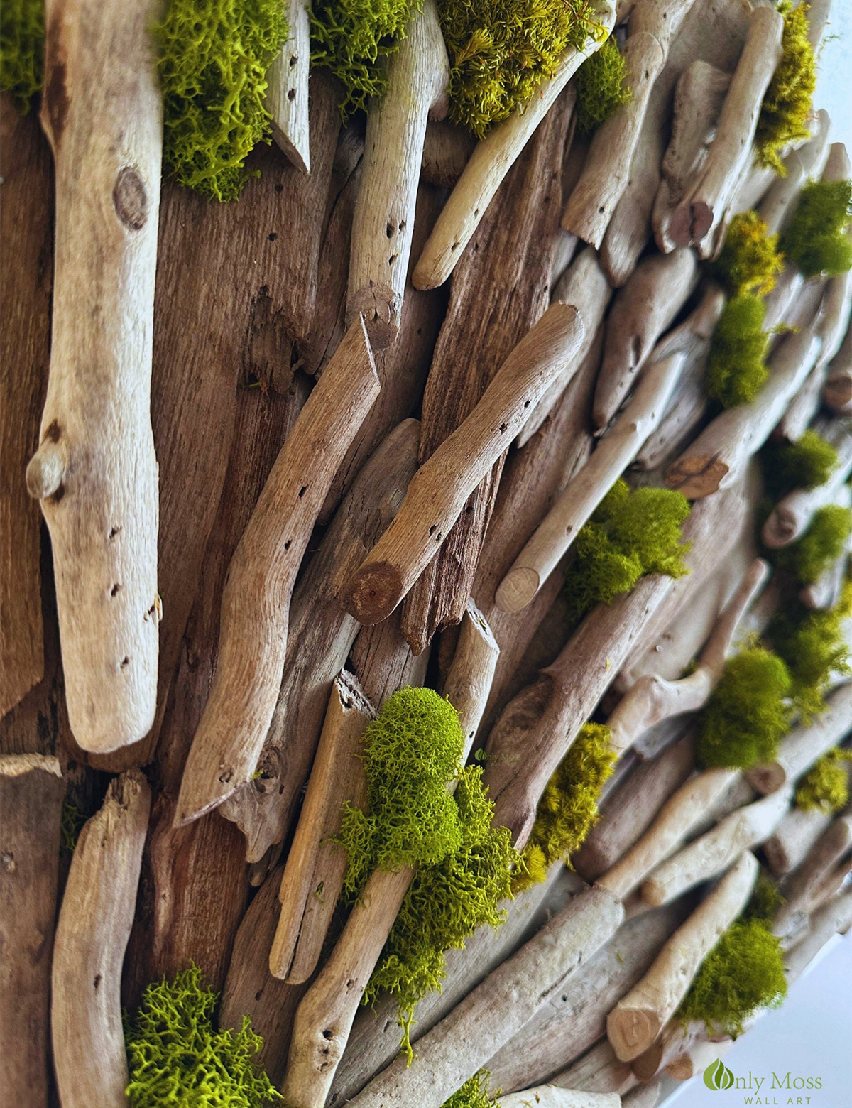 Burning Love Driftwood Moss Art