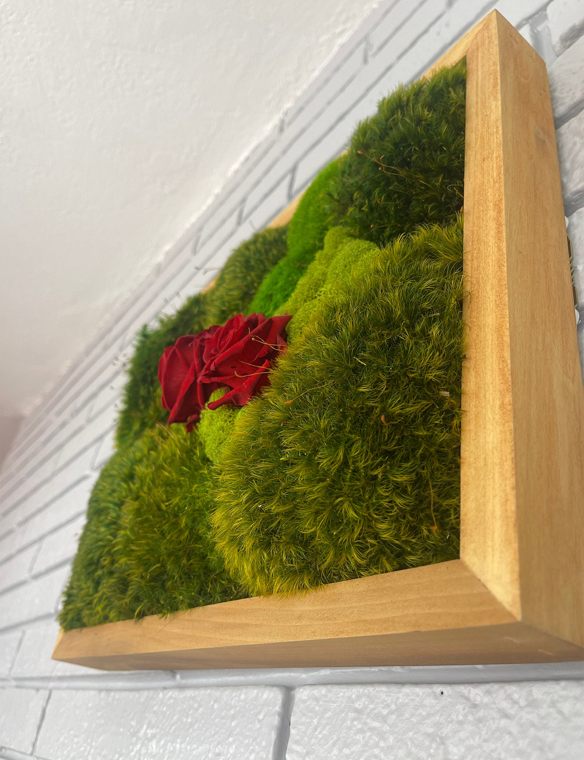 Together Moss & Roses Wall Art