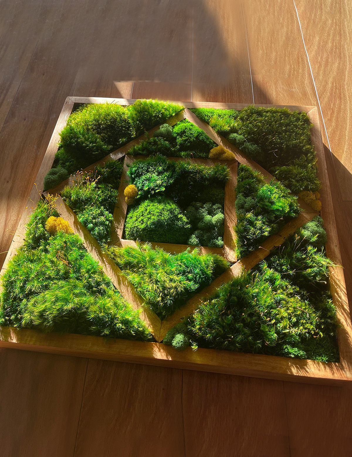 Trio Moss Wall Art