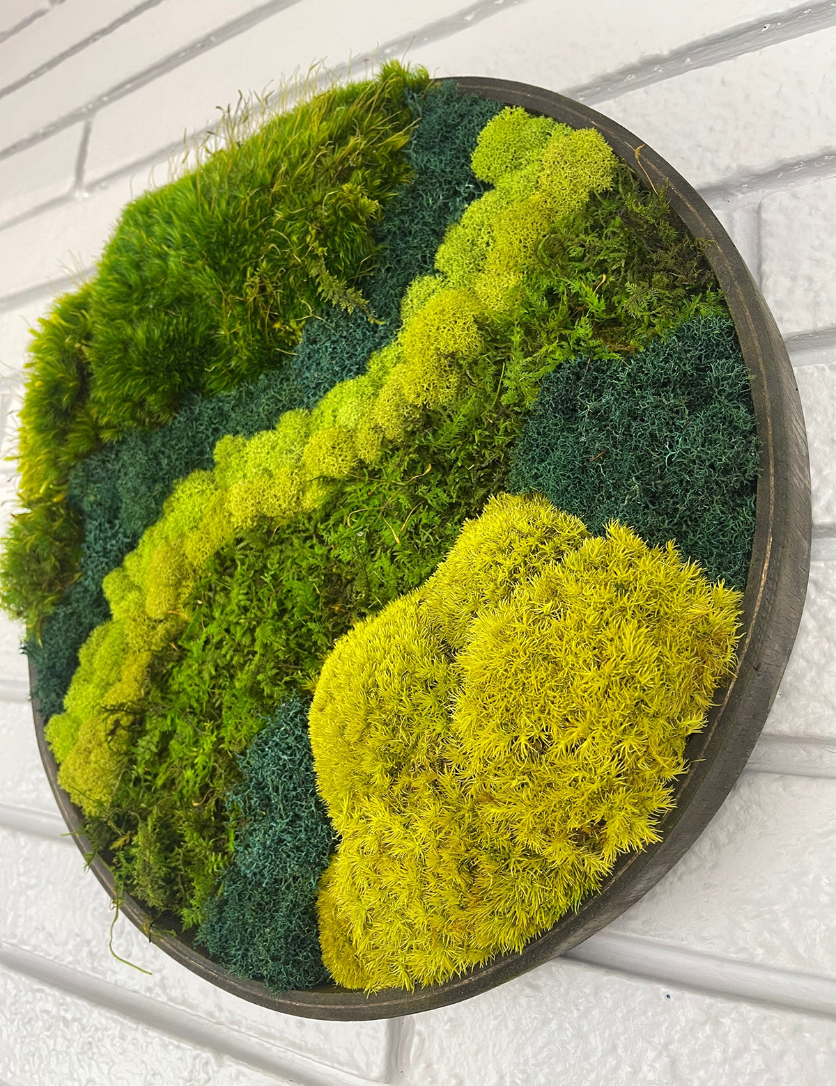 Green Mountain Circle Moss Art