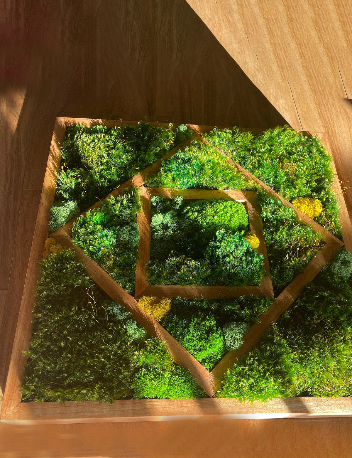 Trio Moss Wall Art