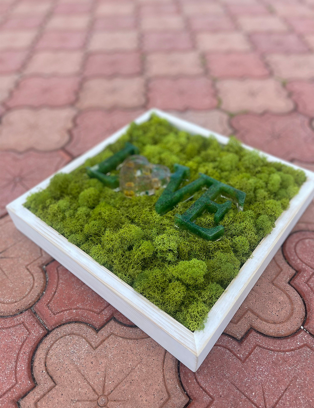 Love Moss & Resin Wall Art