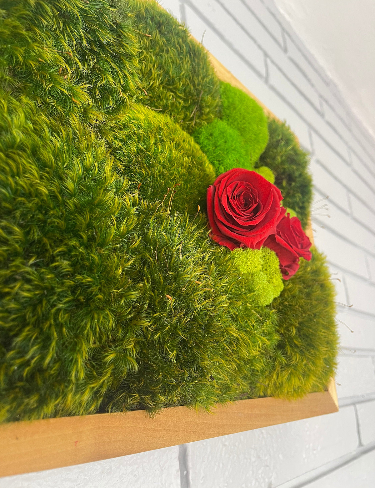 Together Moss & Roses Wall Art