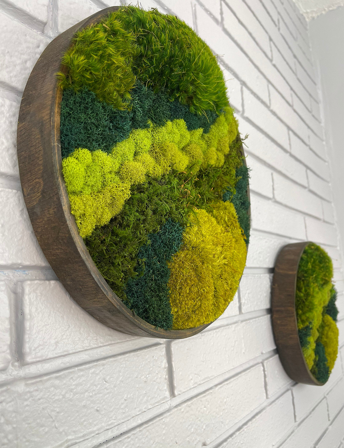 Green Mountain Circle Moss Art