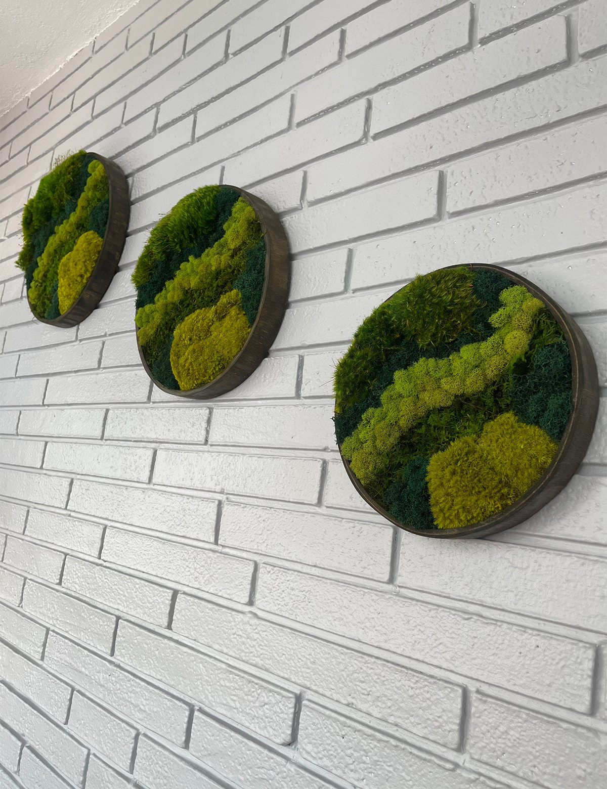 Green Mountain Circle Moss Art