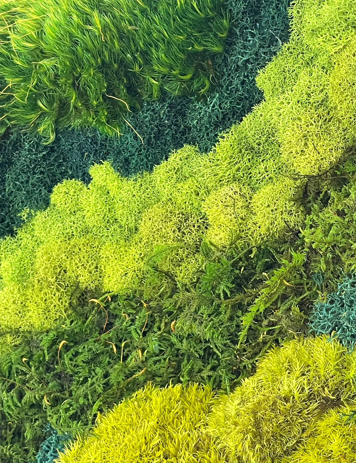 Green Mountain Circle Moss Art