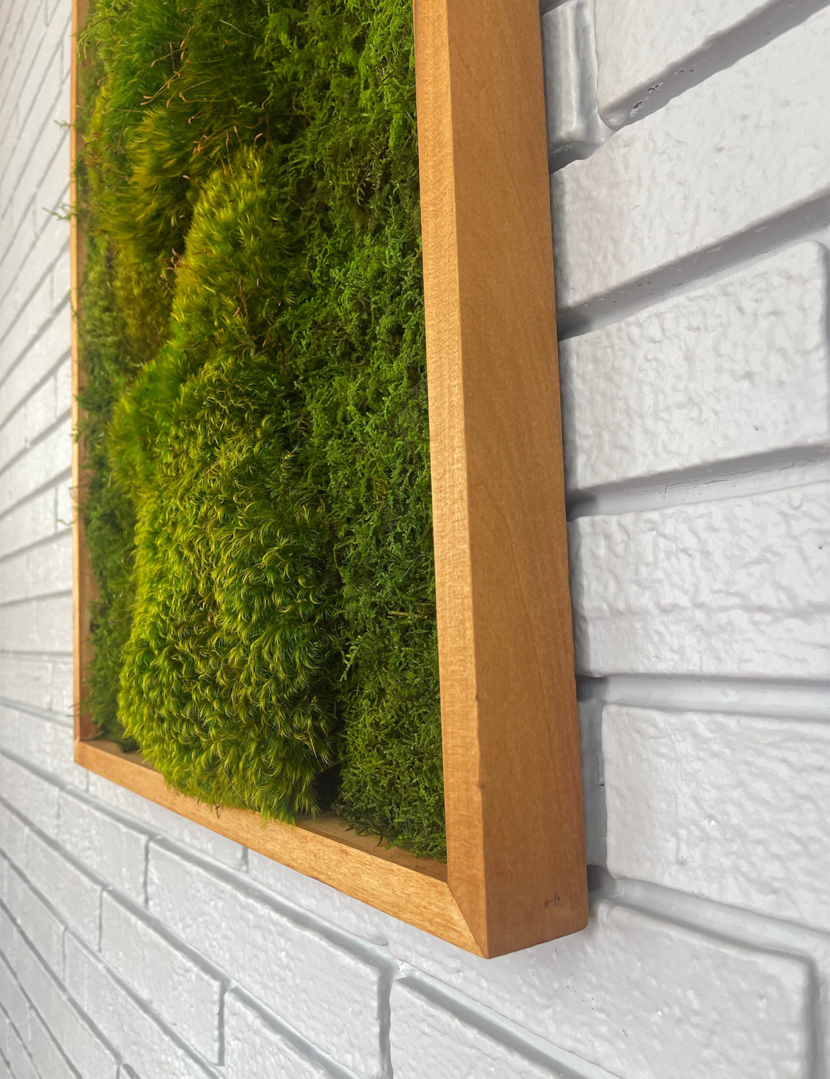 Mountain Moss Wall Art