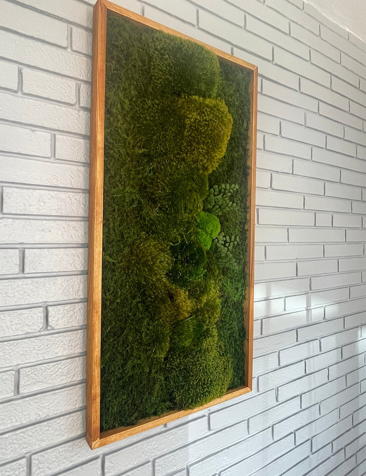 Mountain Moss Wall Art