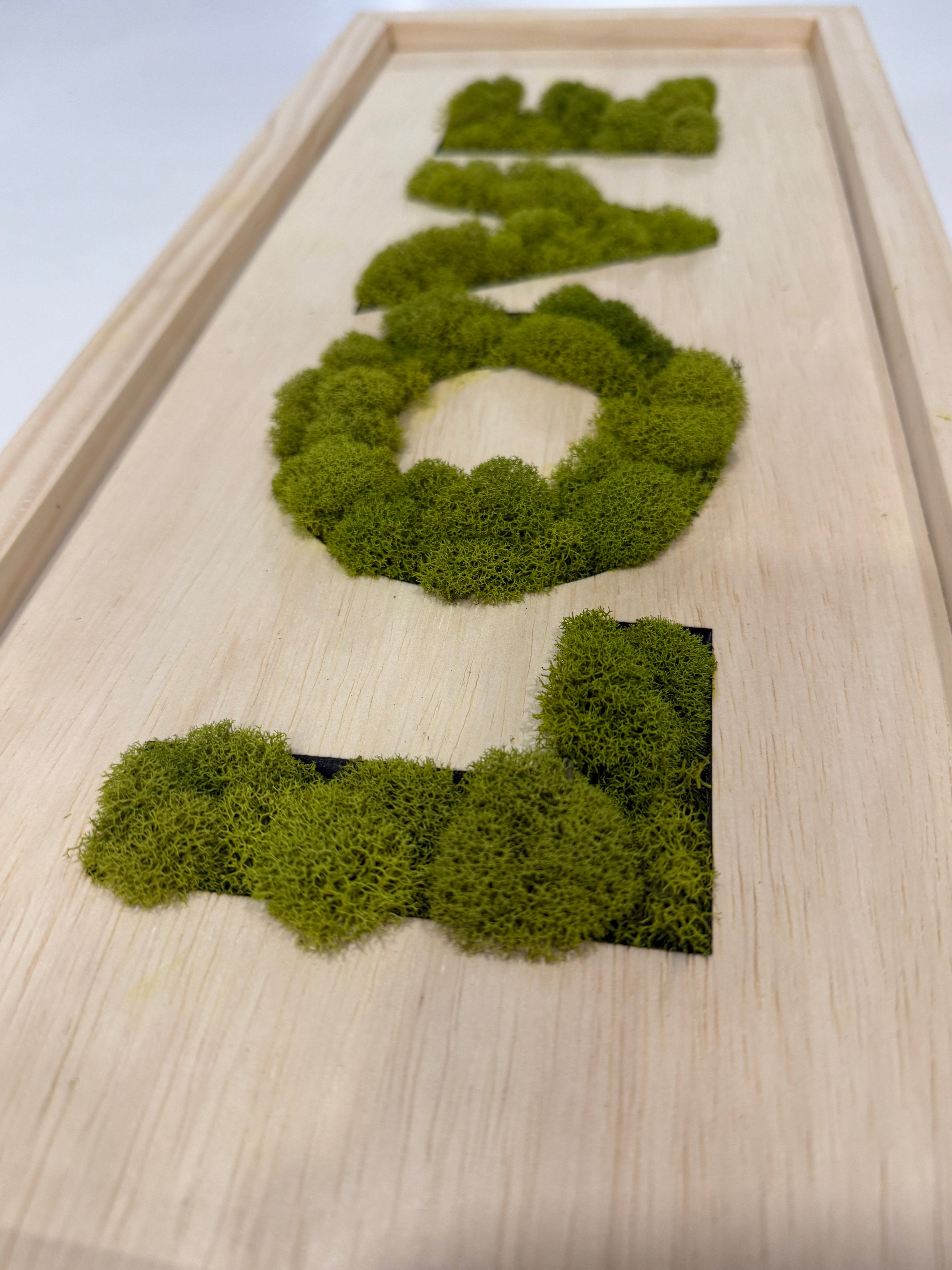 LOVE Moss Wall Art