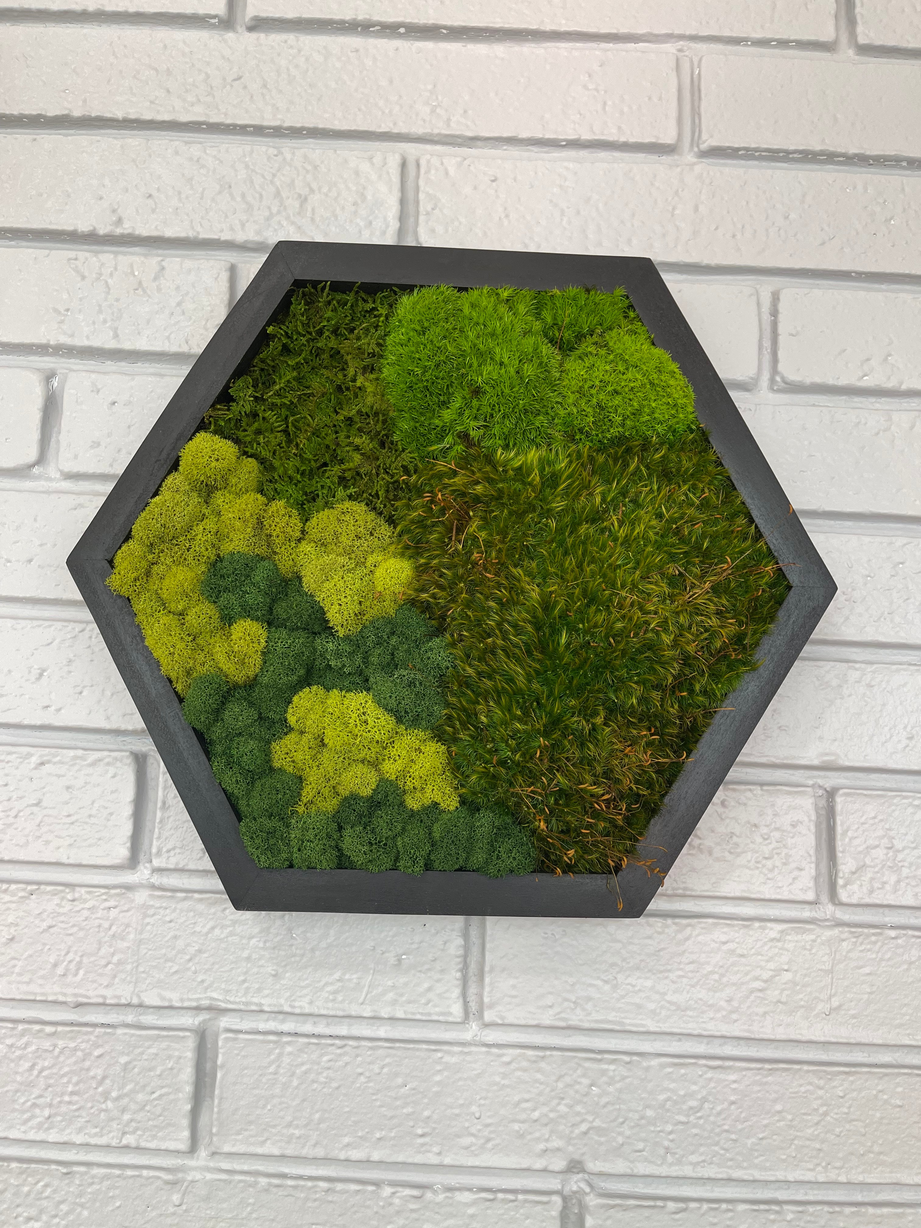 Magic Forest Hexagon Moss Wall Art
