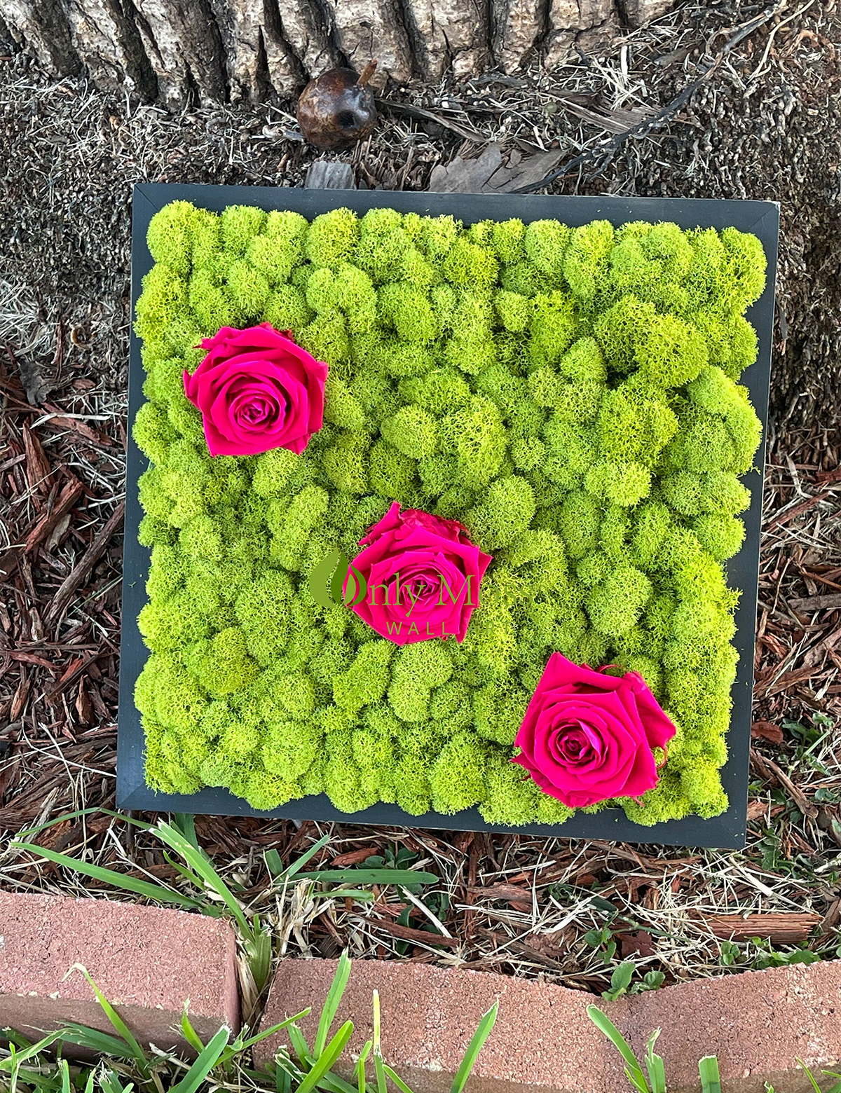 Roses Moss Wall Art
