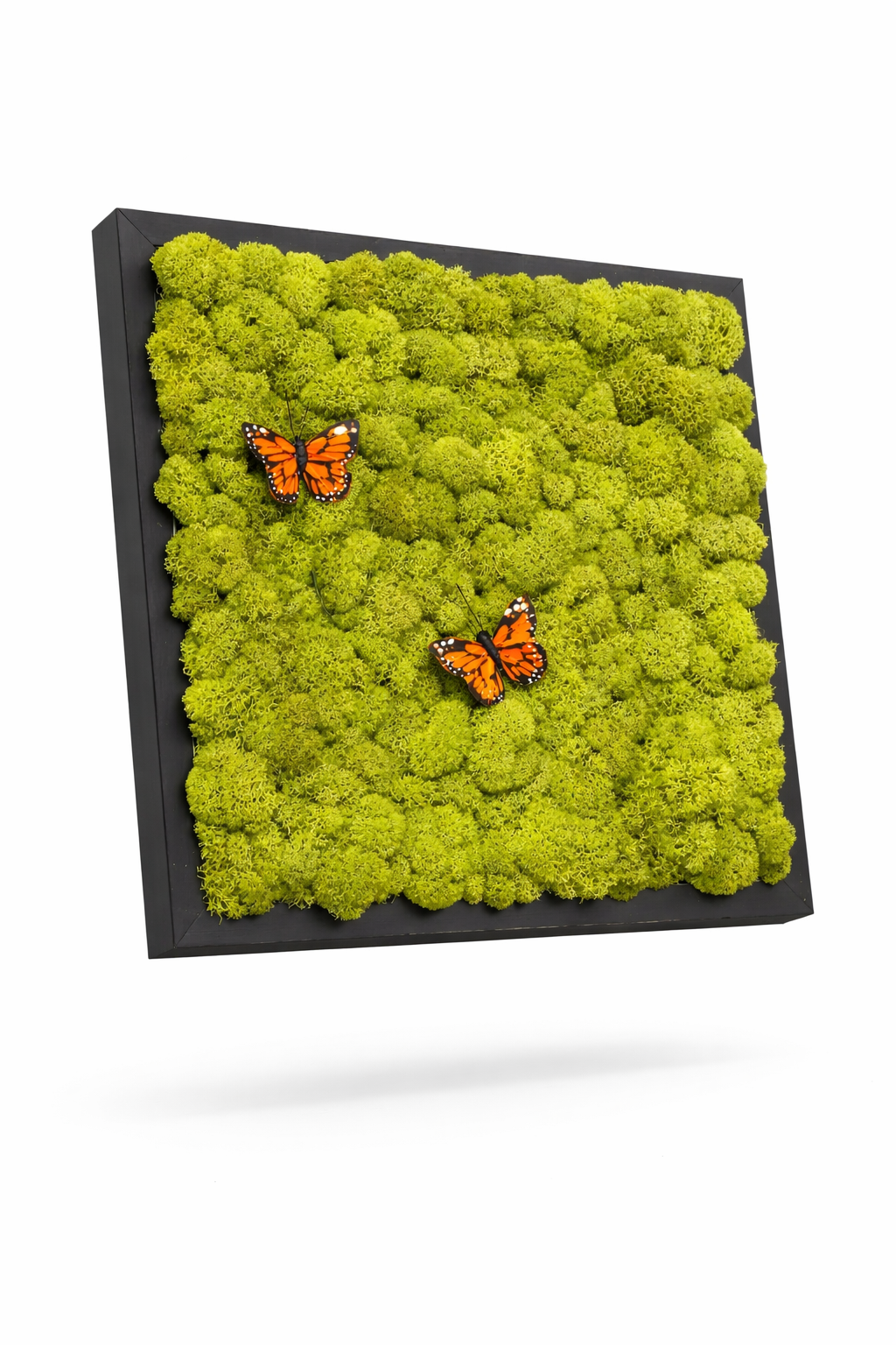 Butterfly Moss Wall Art