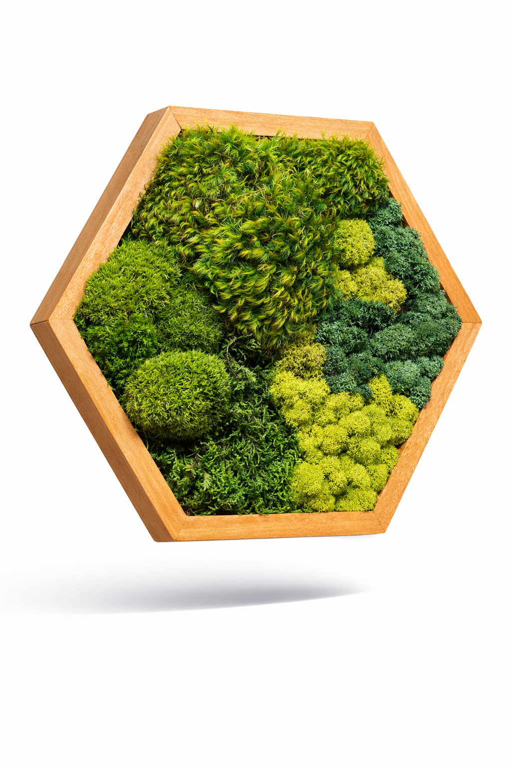 Magic Forest Hexagon Moss Wall Art