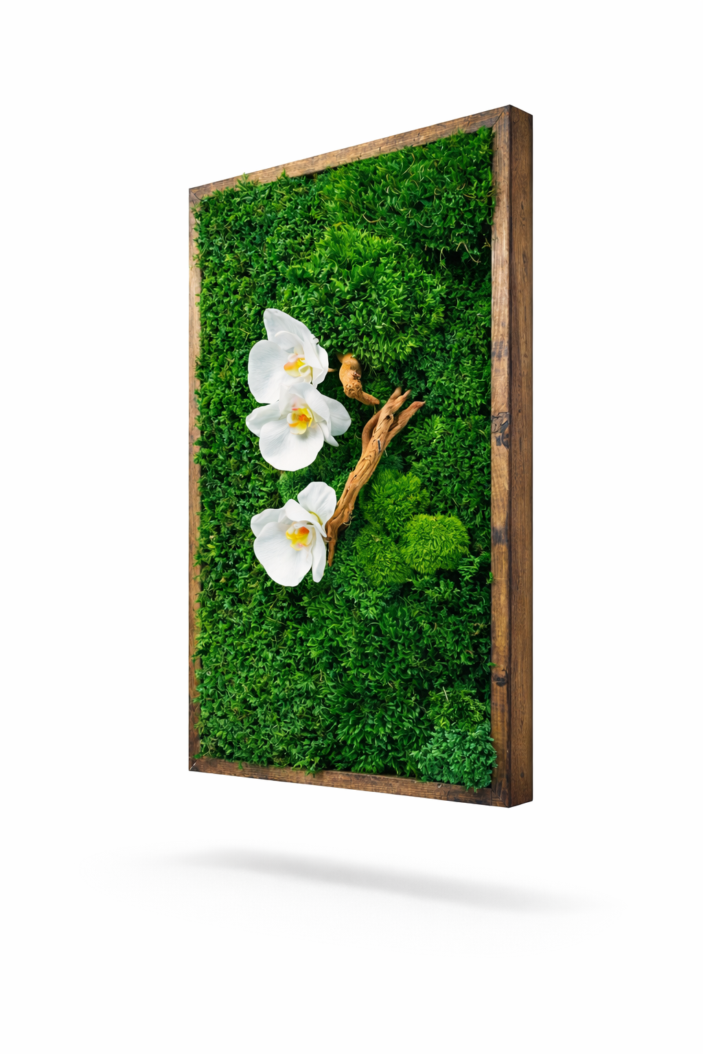 Orchid Garden Moss Wall Art