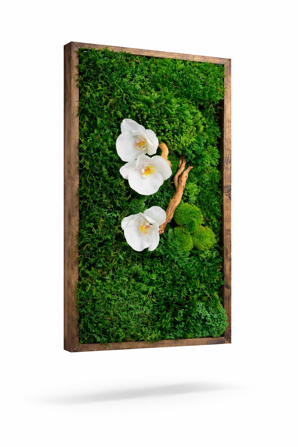 Orchid Garden Moss Wall Art