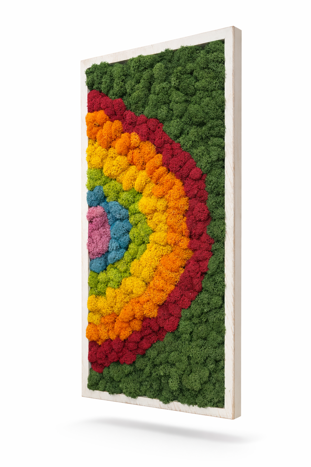 Rainbow Reindeer Moss Wall Art